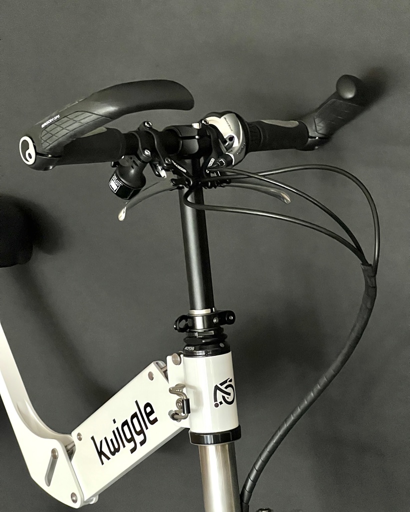 Ergon GP5-L Gripshift® Dual Twist Fahrradgriffe